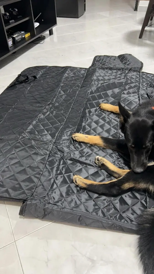 🔥Last Day 50% OFF🔥 Waterproof Dog Car Seat Cover with Hard Bottom