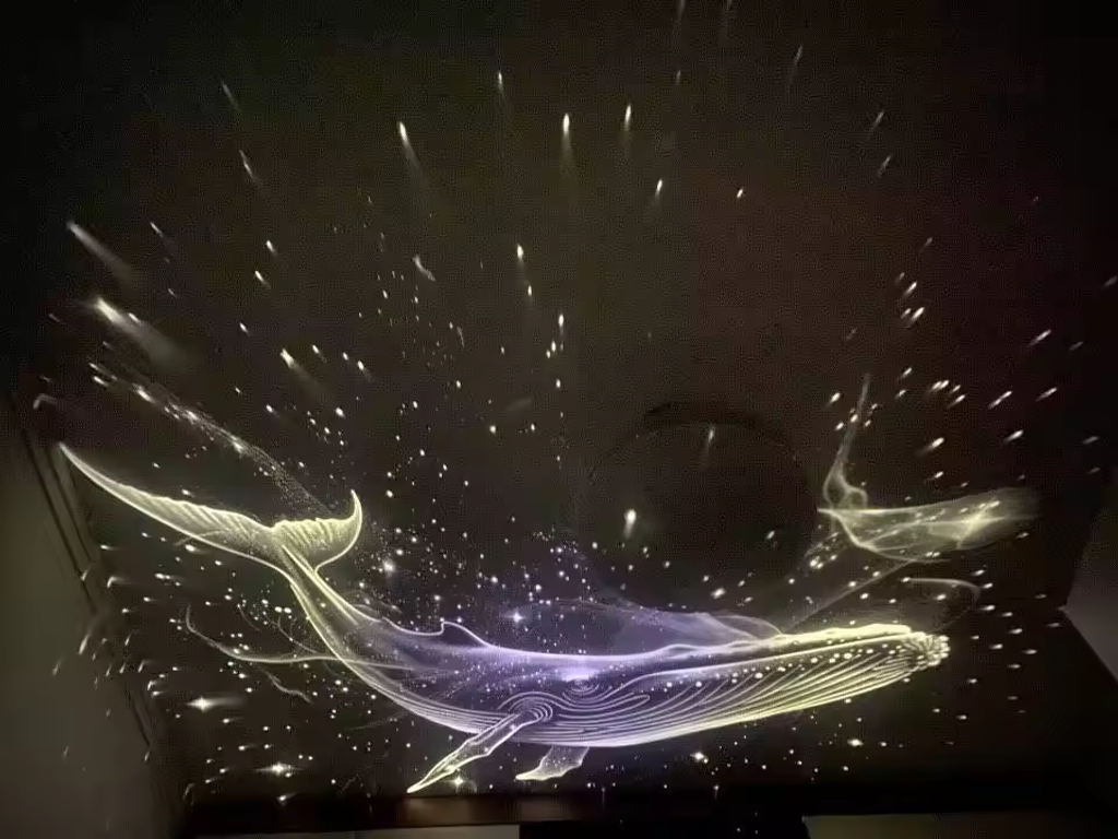 ✨ Plug-and-Play HD Star Projector